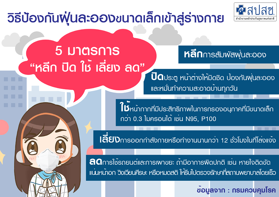 วิธีป้องกันฝุ่นละอองขนาดเล็กเข้าสู่ร่างกาย