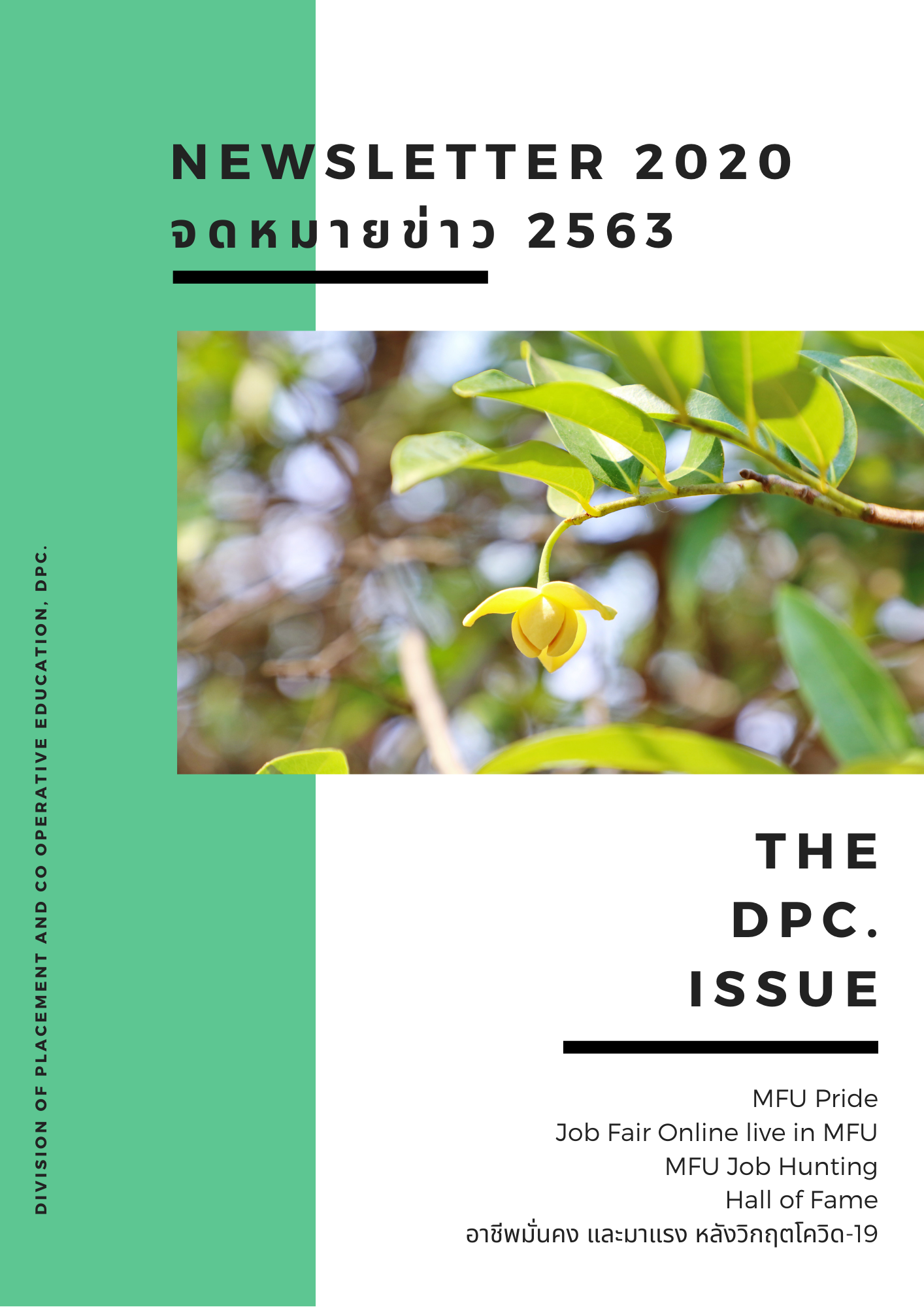 MFU Placement Newsletters 2020